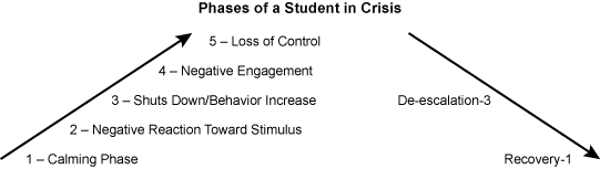 Phases of a Student in Crisis